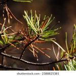 亚洲日韩男人的天堂 1b1qvx