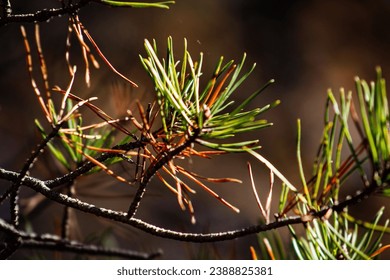 亚洲日韩男人的天堂