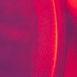 国产精品美女久久久久久 4g0867w9