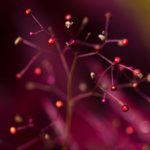 强奷同学的电影在线看 5b0pu