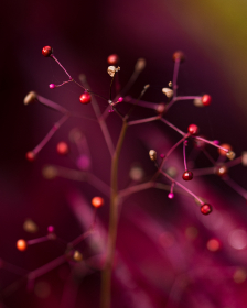 强奷同学的电影在线看