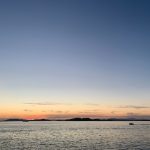 日本无码AV手机在线看 75ms52