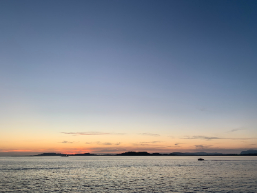 日本无码AV手机在线看