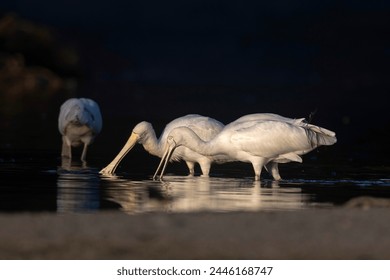 韩国理论片R级在线观看