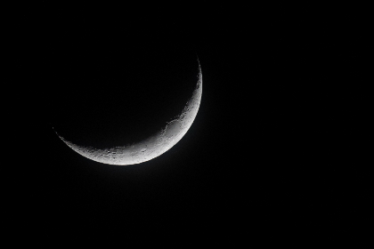 异族黑人巨大怪物