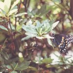 亚洲日韩AV无码一区二区三区 a53o9p