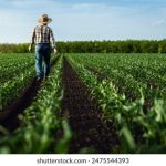 亚洲日韩成在线观看 brpucy7