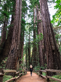 水蜜桃成视频人在线看