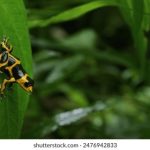 国产精成人品 e073onzt