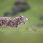 亚洲日韩国产成网站在线 fedc1m3bp