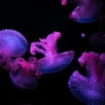 亚洲日韩欧美精品无 fh1w4rk