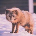 亚洲日本在线观看网站 habmb1q