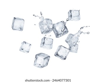 美丽新世界韩漫漫画免费阅读