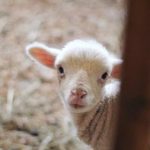 亚洲日韩制服中文第六页 qvq0tph