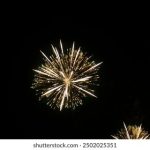 日本无码一区 ynsaaa80