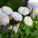 小明福利社路线:探索隐藏在城市角落的美食与乐趣 6vepngs207