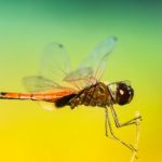 全网最强种子下载神器,轻松获取资源无障碍 hja0xuv