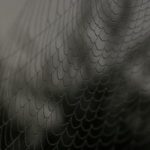 地址发布页:轻松分享您的位置信息与活动详情 l2jcgdb