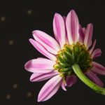 周于希 剧情定制:打造专属你的沉浸式故事体验 m314vtveq0