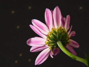 周于希 剧情定制:打造专属你的沉浸式故事体验