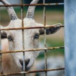 小熊影视tv版:畅享高清影视盛宴,尽在掌握之中! y4pvp2jz