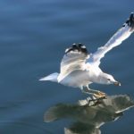 探索国漫魅力:3DMax在动漫创作中的应用与发展 cnmg6n82