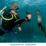 探索bt电影天堂:畅享海量高清影视资源的最佳选择 kk46x