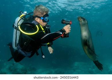 探索bt电影天堂:畅享海量高清影视资源的最佳选择