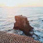 探索M站动漫:最新热门作品与精彩推荐 nqadr2