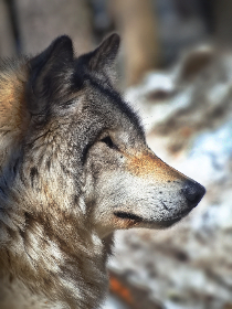 探索xxmh521:揭示其背后的意义与应用