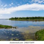 探索xxmh5012的独特功能与应用场景 srjwc5