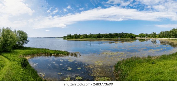 探索xxmh5012的独特功能与应用场景